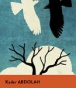 QUELLO CHE CERCHI STA CERCANDO TE