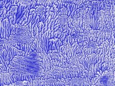 LIBRO DEL SONNO. EDIZ. INTEGRALE (IL)