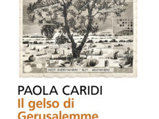 GELSO DI GERUSALEMME, IL