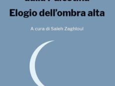 INNI UNIVERSALI DI PACE DALLA PALESTINA