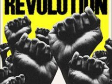 TAMING THE REVOLUTION: WHITE POWER AND THE FEAR OF FREEDOM